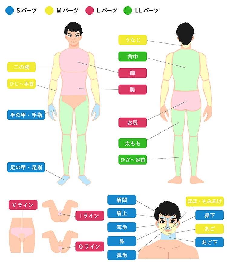 S・M・L・LLパーツ