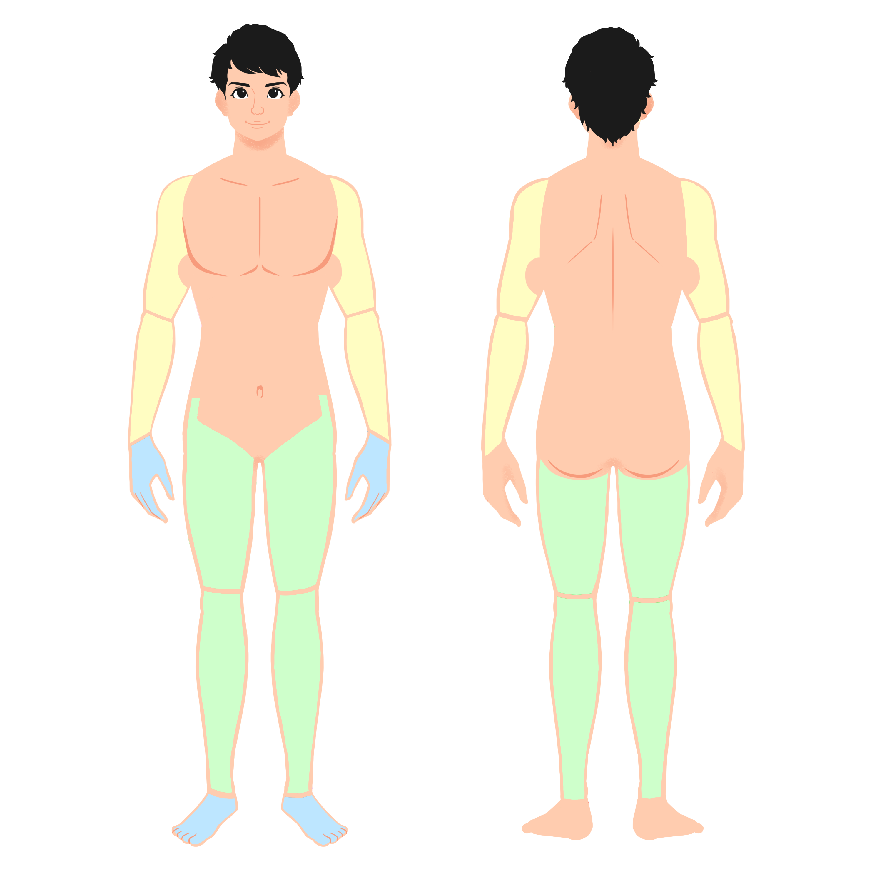 腕足すっきりセット