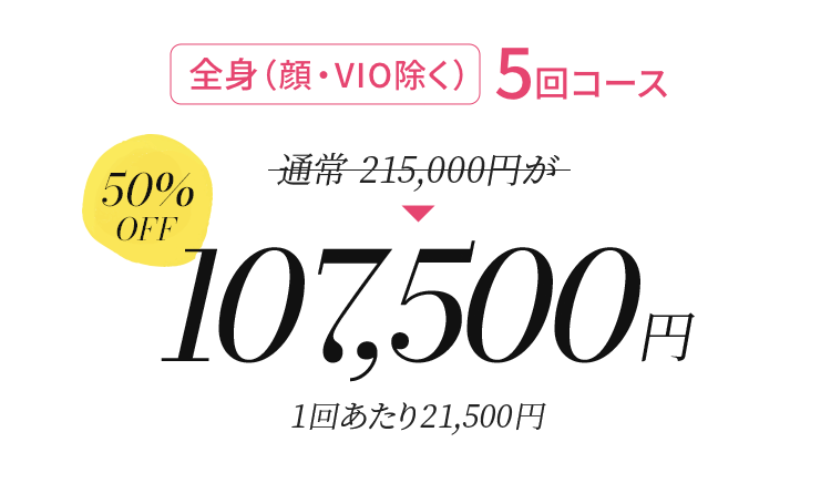 全身（顔・VIOを除く）5回コース 107,500円